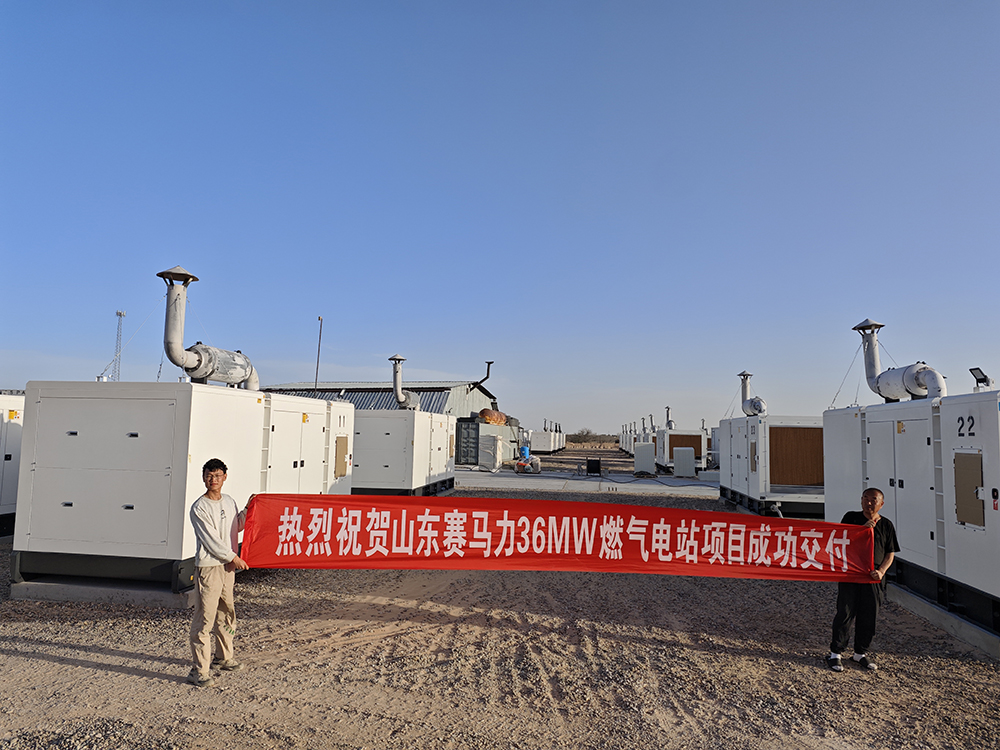 The 36MW gas-fired power plant project in the United States has been successfully delivered